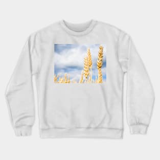 Wheat Crewneck Sweatshirt